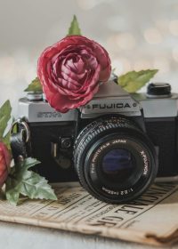 pexels-nietjuhart-1831748